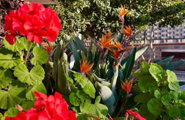 Villa Gargaf - Foto 22