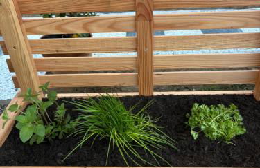 Gîte du Cap Romain - Photo 36