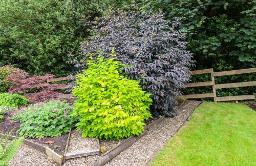 The Old Sweet Shop - Foto 48