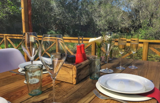 Forest Edge - Foto 63