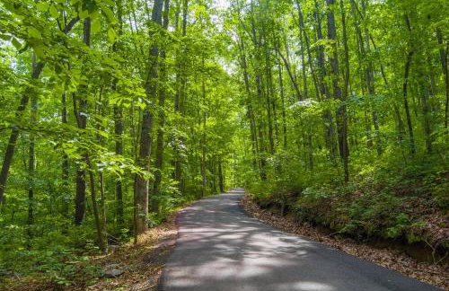 Serenity Escape Treehouse on 14 acres near Little River Canyon - Foto 22