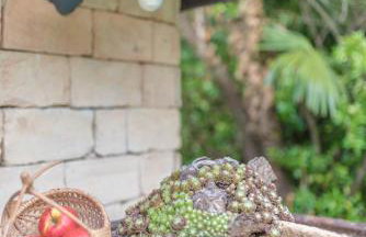 Apartments Villa Sušanj - Foto 78