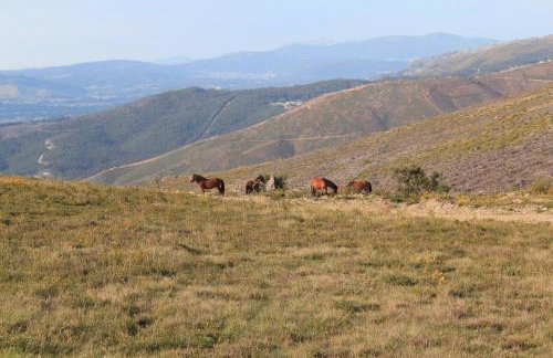 Casa das Branquinhas - Férias no Minho com piscina! - Foto 48