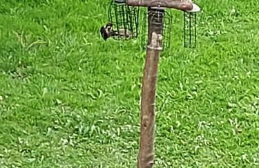 Saughall Mill Farm Cottage - Photo 150