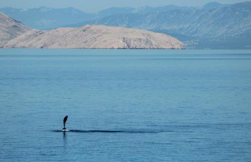 Apartment Marica - Foto 28