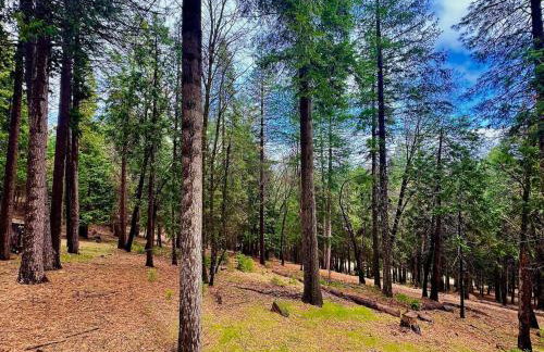 Forest View Family Home - Foto 9