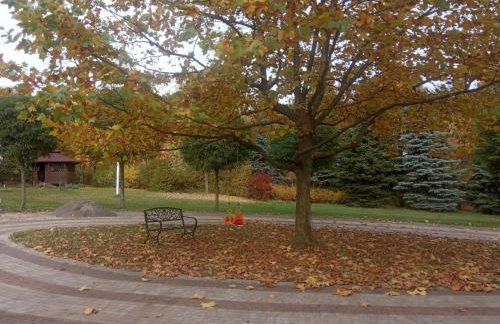 Rezydencja Pod Platanem - Photo 34