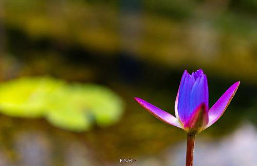 Recanto Ecológico - Foto 54