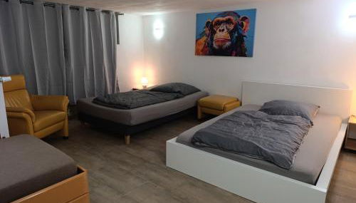 100 qm Apartment,WLAN, TV free Parking,24 h check-in, ,full kitchen,Untergeschoss ,3 Schlafzimmer -Wohnzimmer integriert - Foto 2