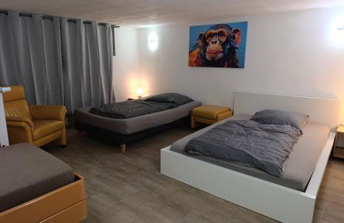 100 qm Apartment,WLAN, TV free Parking,24 h check-in, ,full kitchen,Untergeschoss ,3 Schlafzimmer -Wohnzimmer integriert - Foto 2
