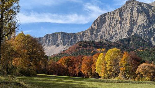 Les Cimes - La Canopée - Foto 5