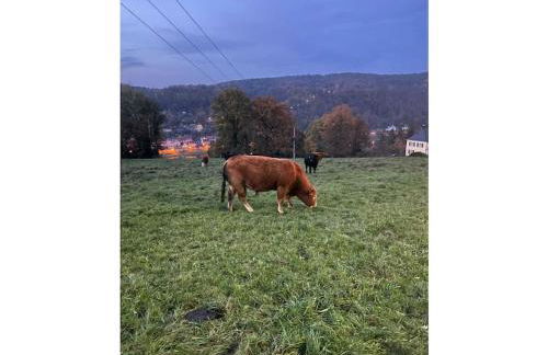 1-bedroom holiday apartment - Foto 29