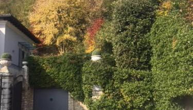 Villa Maddalena - Foto 3