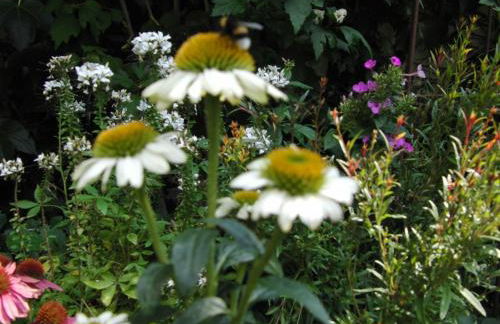 Gästehaus EinsA - Photo 20