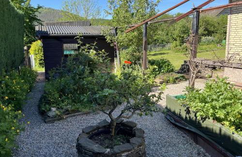 EifelSeensucht - Foto 14