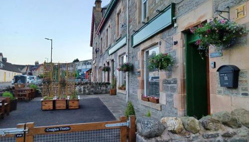 Craiglea Thistle - Foto 2