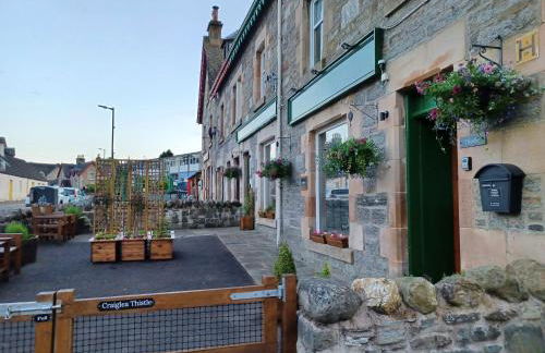 Craiglea Thistle - Foto 2