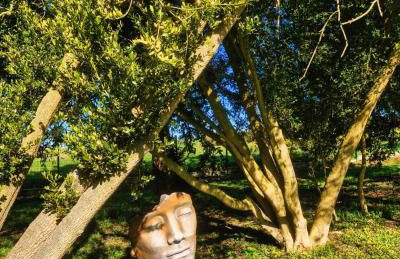 Casa Pertica - Foto 46