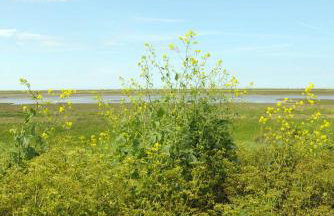 Banningham Coach House - Foto 33