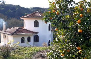 Quinta Da Mimosa - Foto 17