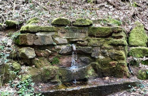 Ferienhaus zur Glockenhornquelle - Foto 11