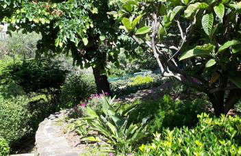 APPARTEMENTS DANS VILLA EN REZ DE JARDIN - Foto 27