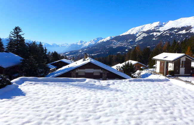 Robin des Bois B 15 - Foto 2