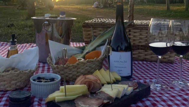 Assunçao Winery Tour - Photo 4, The sunset will create a perfect picnic moment