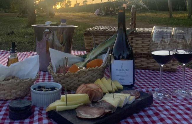 Assunçao Winery Tour - Foto 6