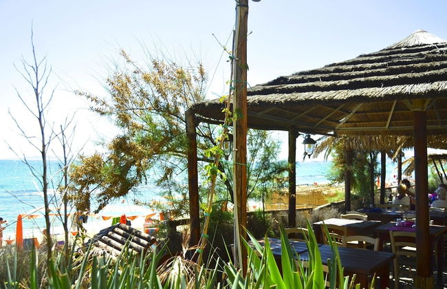 House in Tuscany Near Baratti Beach - Foto 34