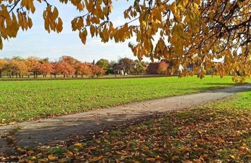 Lovely Apartment in Hesse - Foto 64