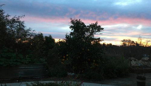 Beverlys Hilltop Retreat - Foto 3