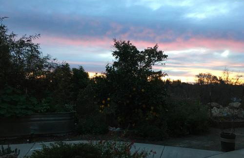 Beverlys Hilltop Retreat - Foto 3