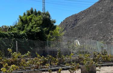 Tantulia la casita del Caballo - Foto 37