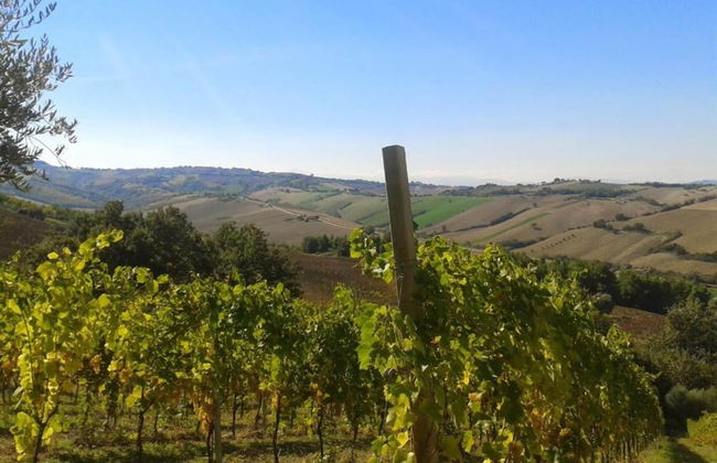 Bright Apartment in a Farmhouse With Swimming Pool - Foto 30