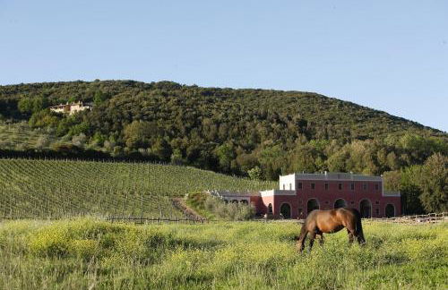 Tenuta il Sassone - Wine&Food - Foto 11