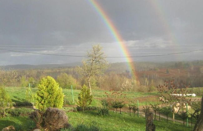 apartmani lavanda - Foto 37