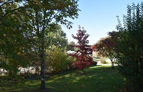 La Maison d’Isabel - Foto 45