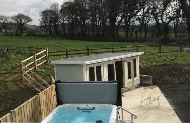 Aberystwyth, Pentre Farmhouse, - Foto 1