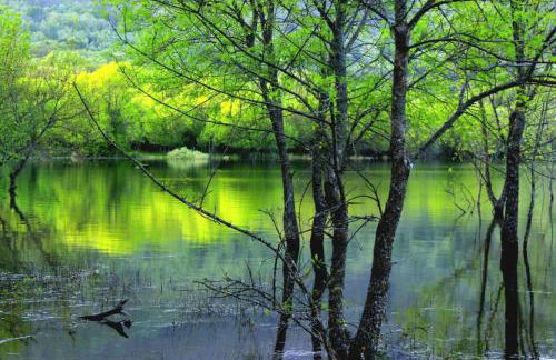 Casa Ypsilon Olive Oil - Photo 17