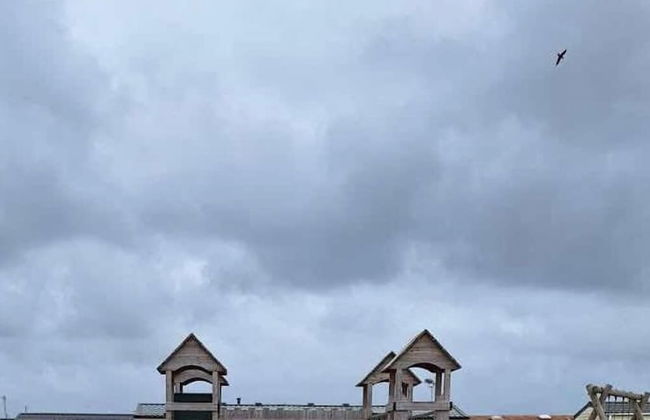 Super 3 Bedroom Pet Friendly Caravan With Decking - Photo 15