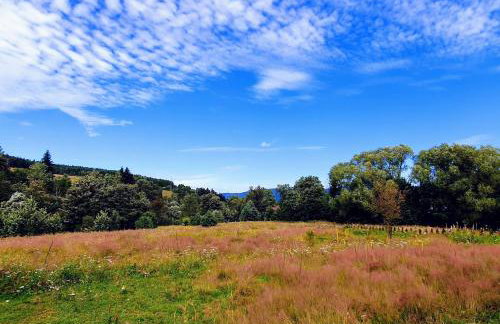 Wieś odNowa - Photo 40