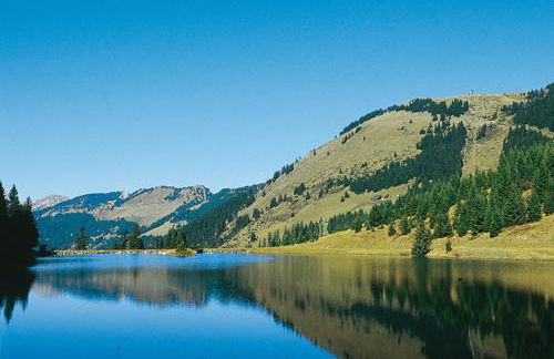 Les 4 Elements - Apt D104 - BO Immobilier- Châtel -Reduced prices on ski passes Châtel & Portes du Soleil - Foto 9