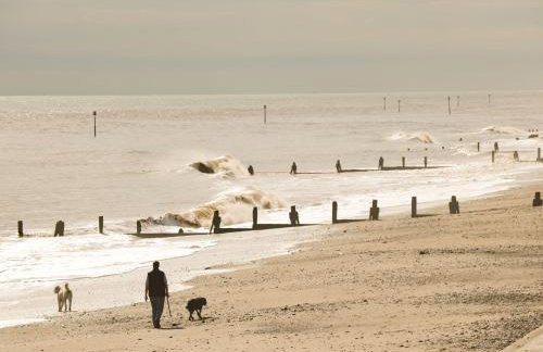 Daisy Nook - Foto 19