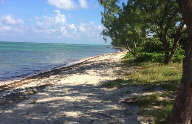 S4 BP Steps to Beach - Photo 32