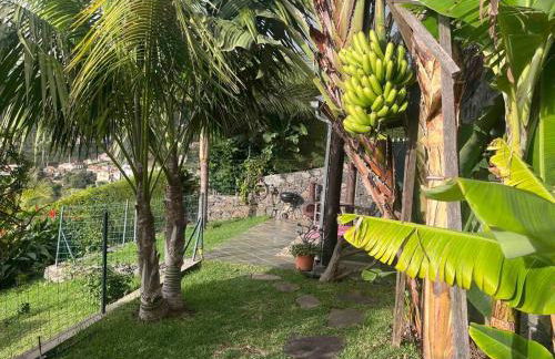 Lucky Lemons - Boutique Houses Madeira (Studio) - Photo 8