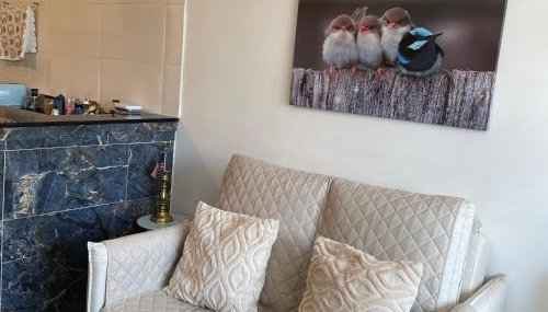 Estúdio Blueline - Foto 3