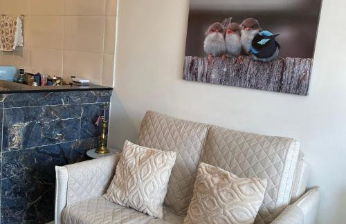 Estúdio Blueline - Foto 3