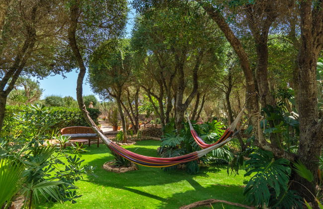 Moli de Son Vidal - Foto 34