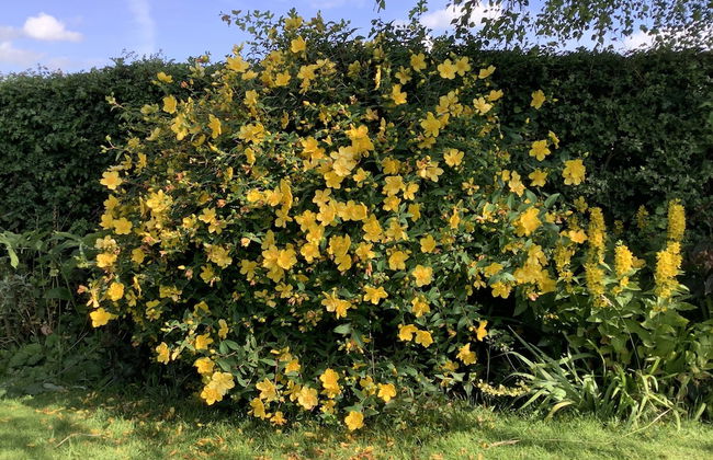 A Serene and Tranquil Escape for two - Photo 22